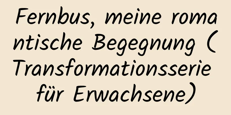 Fernbus, meine romantische Begegnung (Transformationsserie für Erwachsene)