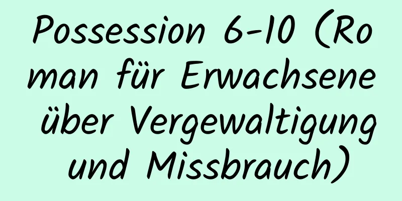 Possession 6-10 (Roman für Erwachsene über Vergewaltigung und Missbrauch)