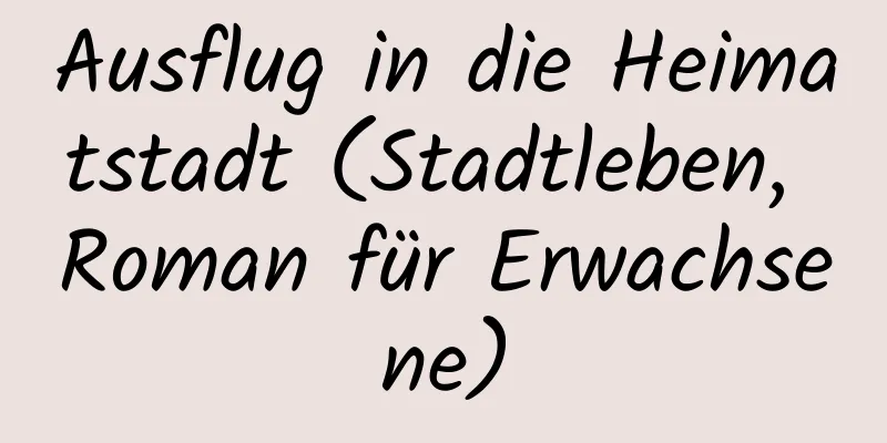 Ausflug in die Heimatstadt (Stadtleben, Roman für Erwachsene)