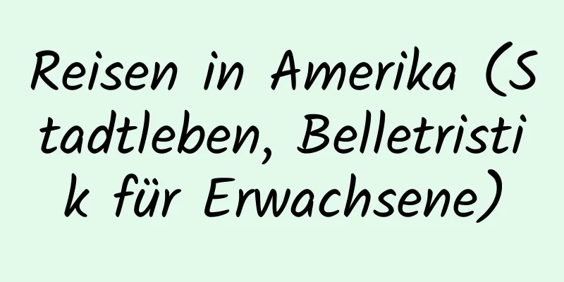 Reisen in Amerika (Stadtleben, Belletristik für Erwachsene)