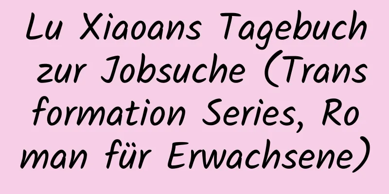 Lu Xiaoans Tagebuch zur Jobsuche (Transformation Series, Roman für Erwachsene)