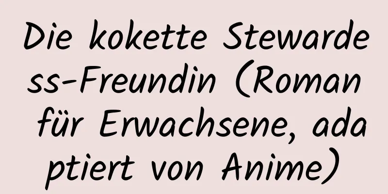 Die kokette Stewardess-Freundin (Roman für Erwachsene, adaptiert von Anime)