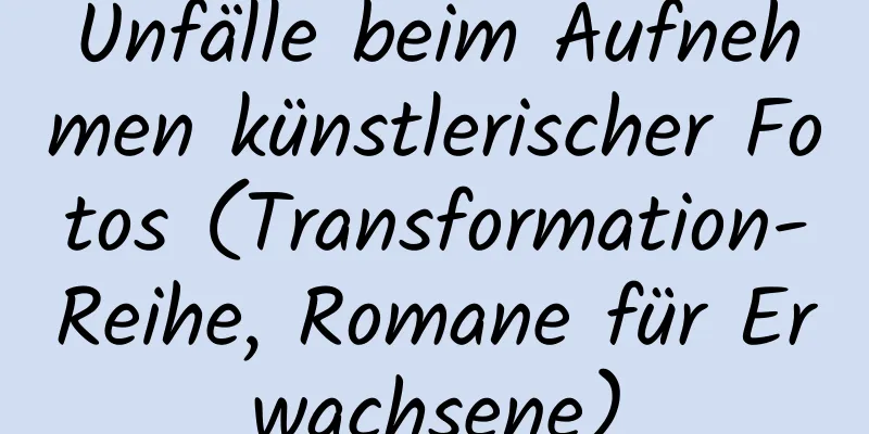 Unfälle beim Aufnehmen künstlerischer Fotos (Transformation-Reihe, Romane für Erwachsene)