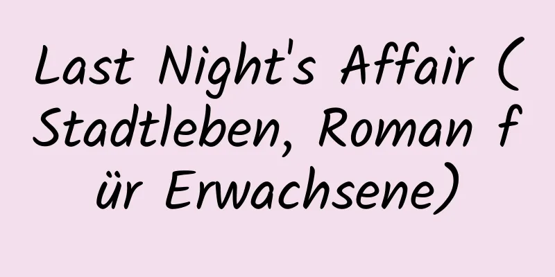 Last Night's Affair (Stadtleben, Roman für Erwachsene)