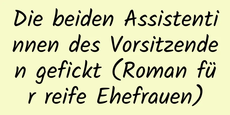 Die beiden Assistentinnen des Vorsitzenden gefickt (Roman für reife Ehefrauen)