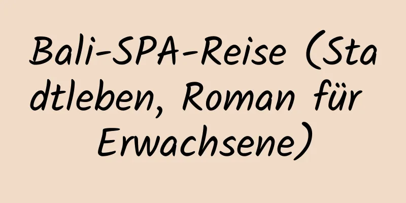 Bali-SPA-Reise (Stadtleben, Roman für Erwachsene)