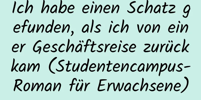 Ich habe einen Schatz gefunden, als ich von einer Geschäftsreise zurückkam (Studentencampus-Roman für Erwachsene)