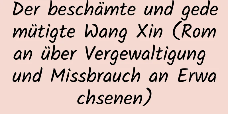 Der beschämte und gedemütigte Wang Xin (Roman über Vergewaltigung und Missbrauch an Erwachsenen)