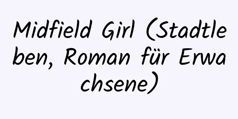 Midfield Girl (Stadtleben, Roman für Erwachsene)