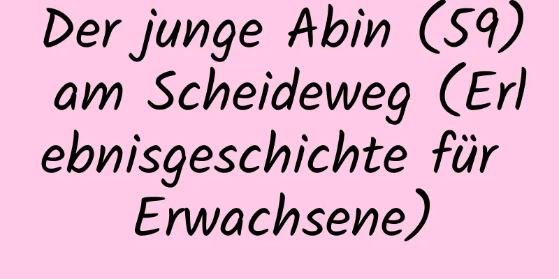 Der junge Abin (59) am Scheideweg (Erlebnisgeschichte für Erwachsene)