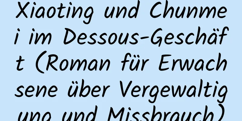 Xiaoting und Chunmei im Dessous-Geschäft (Roman für Erwachsene über Vergewaltigung und Missbrauch)