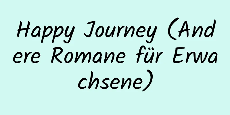 Happy Journey (Andere Romane für Erwachsene)