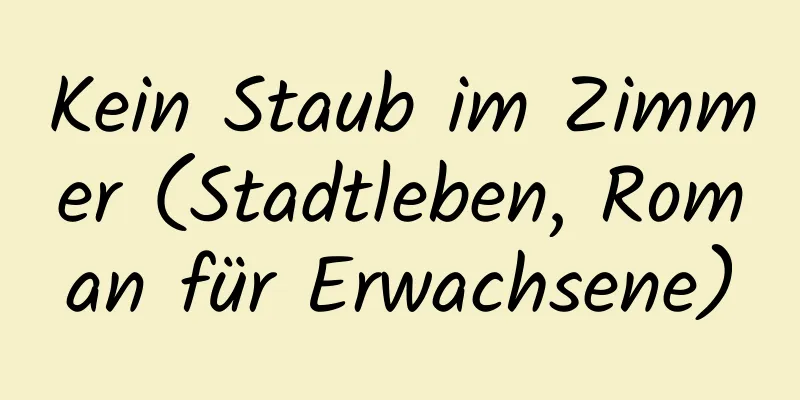 Kein Staub im Zimmer (Stadtleben, Roman für Erwachsene)