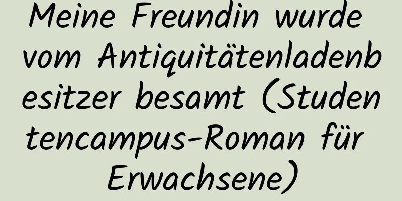 Meine Freundin wurde vom Antiquitätenladenbesitzer besamt (Studentencampus-Roman für Erwachsene)