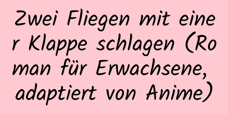 Zwei Fliegen mit einer Klappe schlagen (Roman für Erwachsene, adaptiert von Anime)