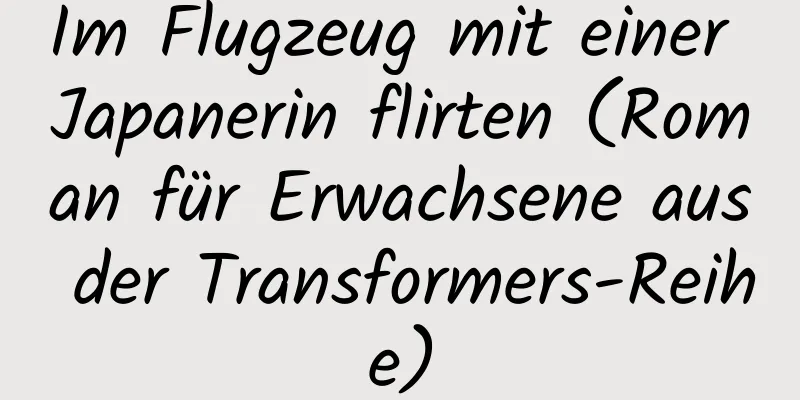 Im Flugzeug mit einer Japanerin flirten (Roman für Erwachsene aus der Transformers-Reihe)