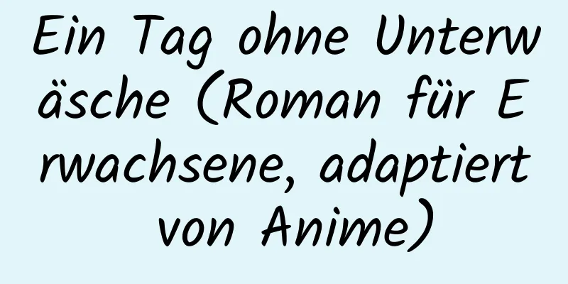 Ein Tag ohne Unterwäsche (Roman für Erwachsene, adaptiert von Anime)