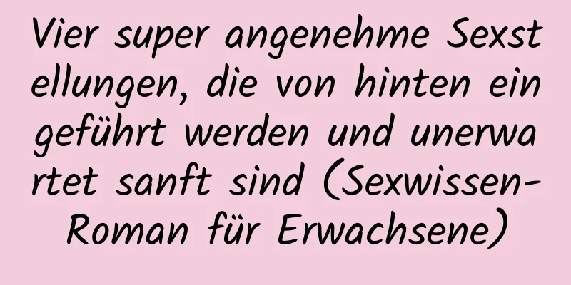 Vier super angenehme Sexstellungen, die von hinten eingeführt werden und unerwartet sanft sind (Sexwissen-Roman für Erwachsene)