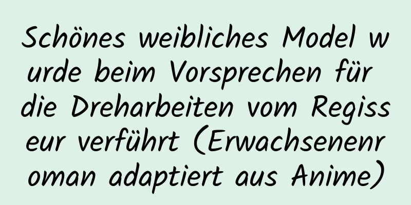 Schönes weibliches Model wurde beim Vorsprechen für die Dreharbeiten vom Regisseur verführt (Erwachsenenroman adaptiert aus Anime)