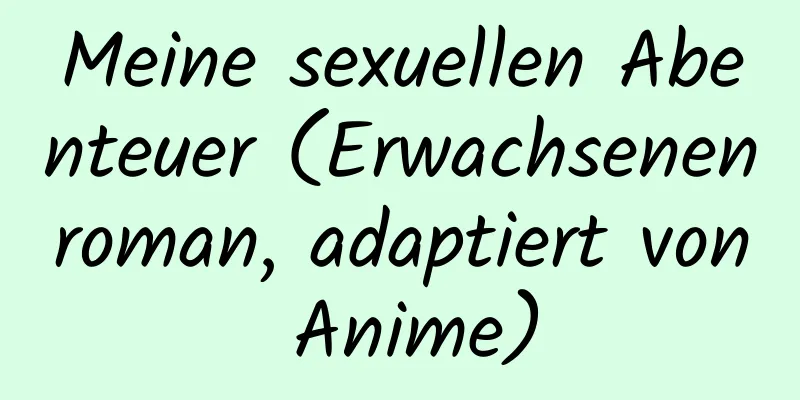 Meine sexuellen Abenteuer (Erwachsenenroman, adaptiert von Anime)