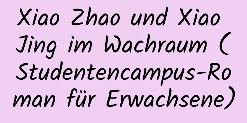 Xiao Zhao und Xiao Jing im Wachraum (Studentencampus-Roman für Erwachsene)