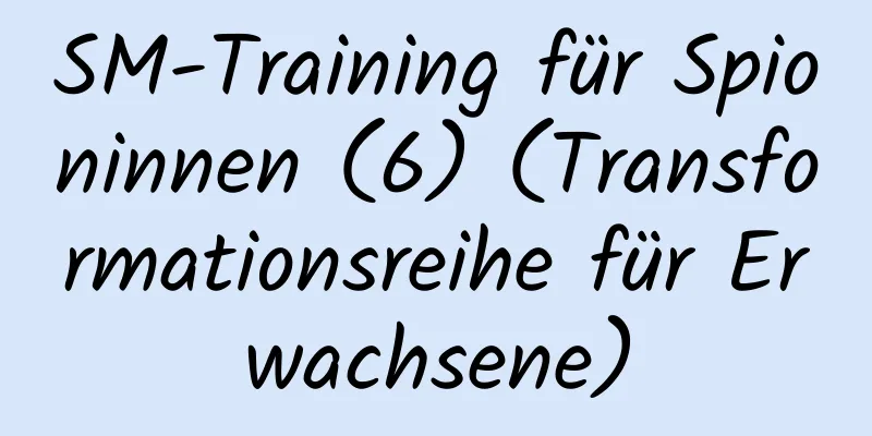 SM-Training für Spioninnen (6) (Transformationsreihe für Erwachsene)