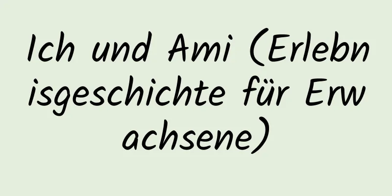 Ich und Ami (Erlebnisgeschichte für Erwachsene)