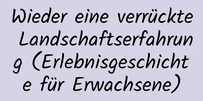 Wieder eine verrückte Landschaftserfahrung (Erlebnisgeschichte für Erwachsene)