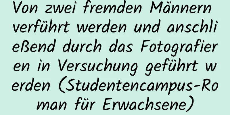 Von zwei fremden Männern verführt werden und anschließend durch das Fotografieren in Versuchung geführt werden (Studentencampus-Roman für Erwachsene)