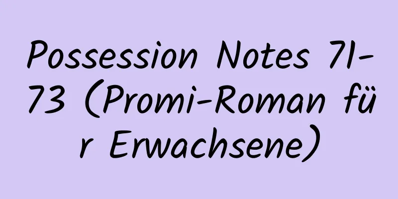 Possession Notes 71-73 (Promi-Roman für Erwachsene)