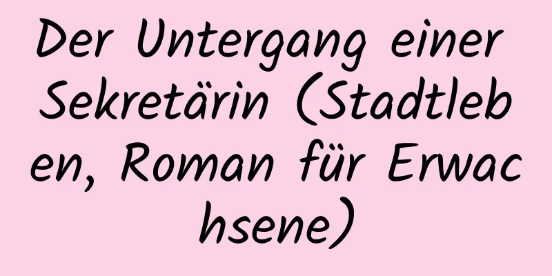 Der Untergang einer Sekretärin (Stadtleben, Roman für Erwachsene)