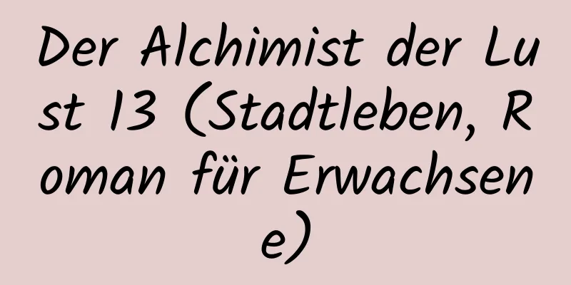 Der Alchimist der Lust 13 (Stadtleben, Roman für Erwachsene)