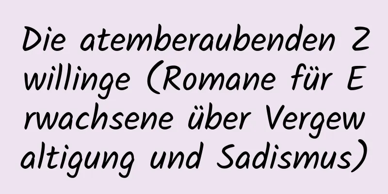 Die atemberaubenden Zwillinge (Romane für Erwachsene über Vergewaltigung und Sadismus)