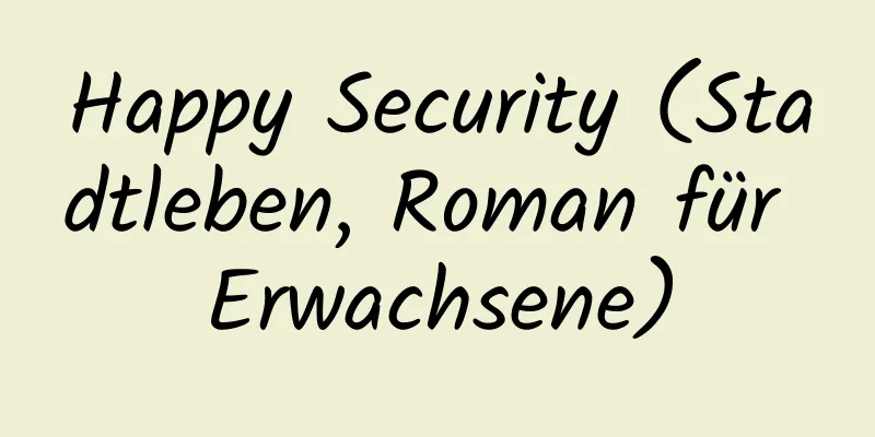 Happy Security (Stadtleben, Roman für Erwachsene)