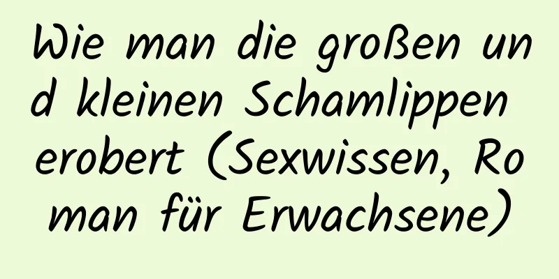 Wie man die großen und kleinen Schamlippen erobert (Sexwissen, Roman für Erwachsene)