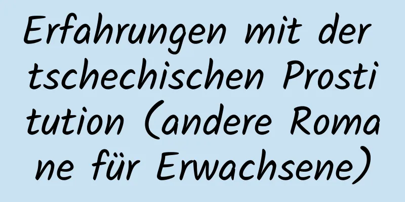 Erfahrungen mit der tschechischen Prostitution (andere Romane für Erwachsene)