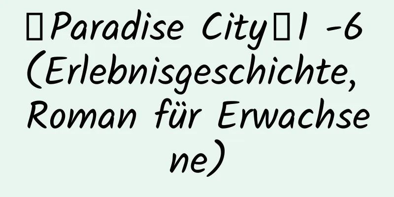 【Paradise City】1 -6 (Erlebnisgeschichte, Roman für Erwachsene)