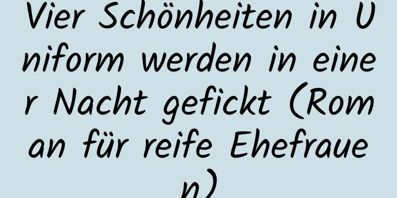 Vier Schönheiten in Uniform werden in einer Nacht gefickt (Roman für reife Ehefrauen)