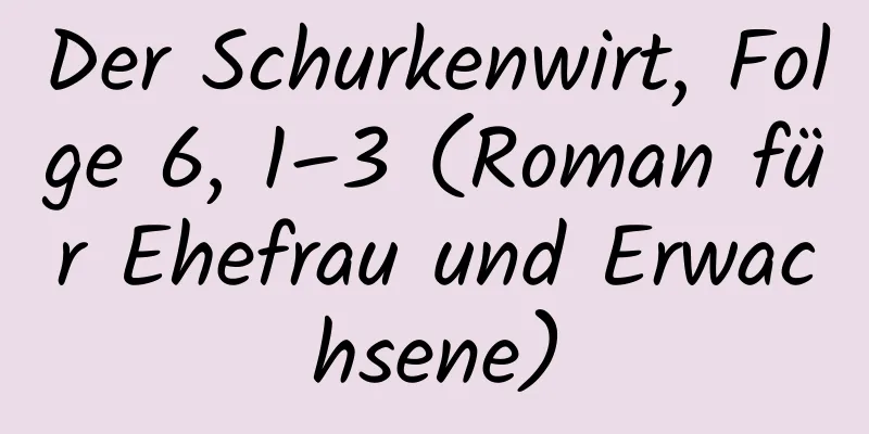 Der Schurkenwirt, Folge 6, 1–3 (Roman für Ehefrau und Erwachsene)