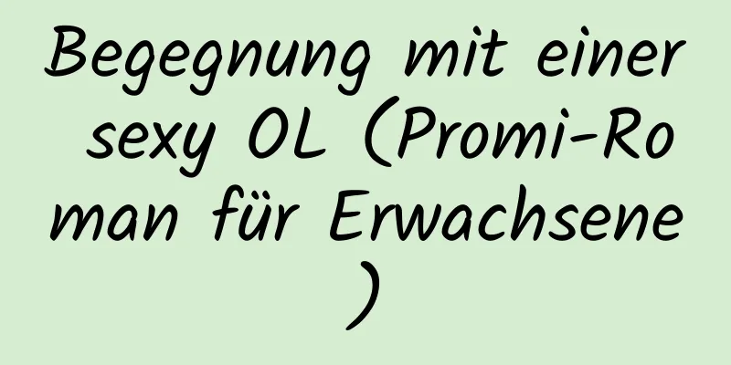 Begegnung mit einer sexy OL (Promi-Roman für Erwachsene)