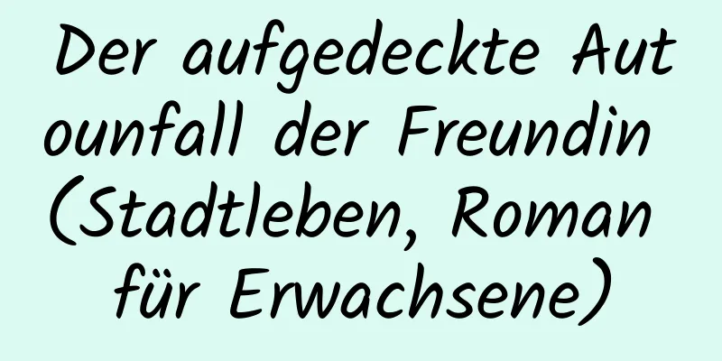 Der aufgedeckte Autounfall der Freundin (Stadtleben, Roman für Erwachsene)