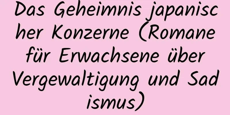 Das Geheimnis japanischer Konzerne (Romane für Erwachsene über Vergewaltigung und Sadismus)