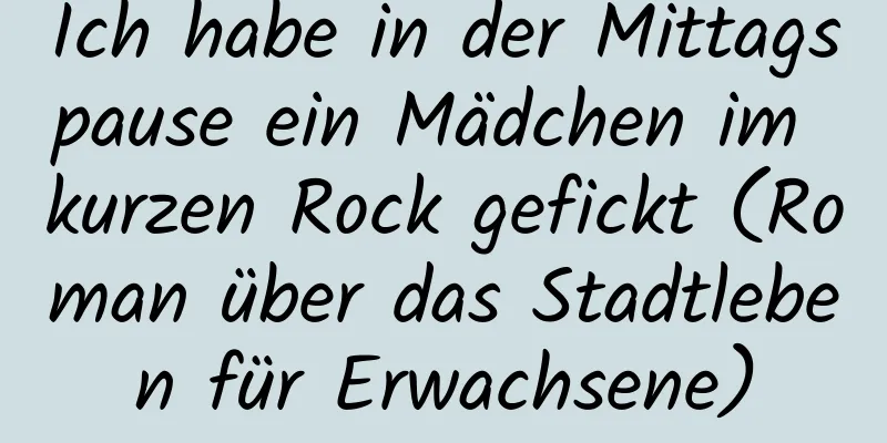 Ich habe in der Mittagspause ein Mädchen im kurzen Rock gefickt (Roman über das Stadtleben für Erwachsene)