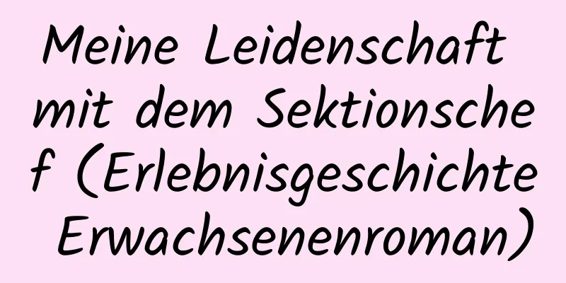 Meine Leidenschaft mit dem Sektionschef (Erlebnisgeschichte Erwachsenenroman)