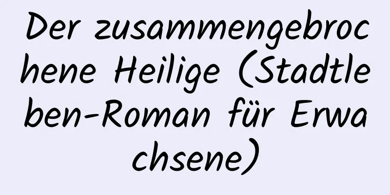 Der zusammengebrochene Heilige (Stadtleben-Roman für Erwachsene)