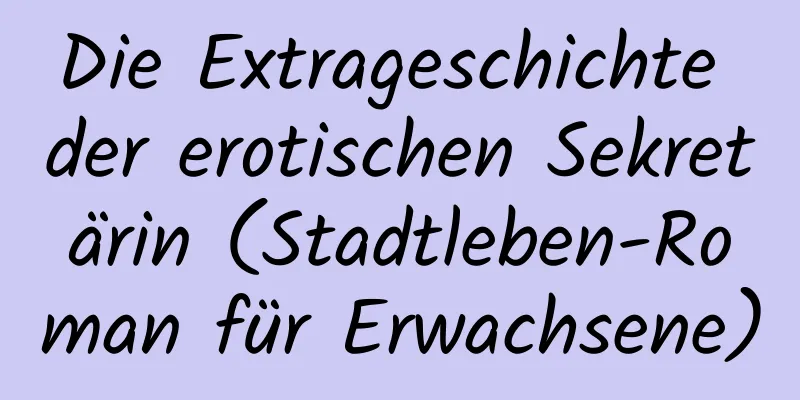 Die Extrageschichte der erotischen Sekretärin (Stadtleben-Roman für Erwachsene)