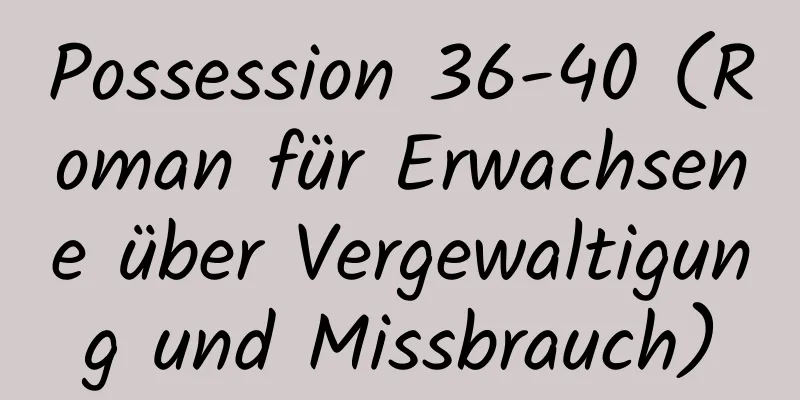 Possession 36-40 (Roman für Erwachsene über Vergewaltigung und Missbrauch)