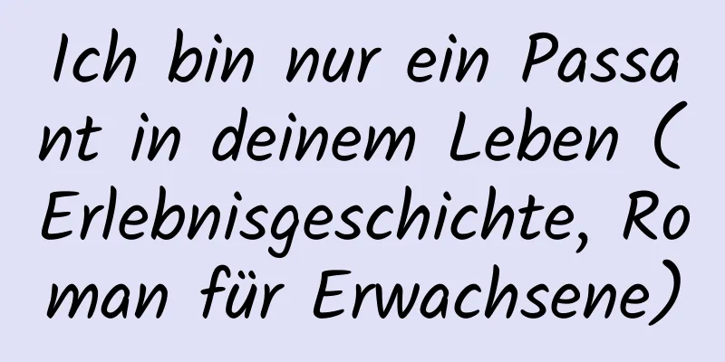 Ich bin nur ein Passant in deinem Leben (Erlebnisgeschichte, Roman für Erwachsene)