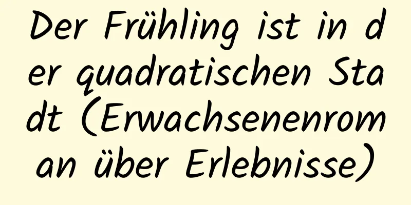 Der Frühling ist in der quadratischen Stadt (Erwachsenenroman über Erlebnisse)