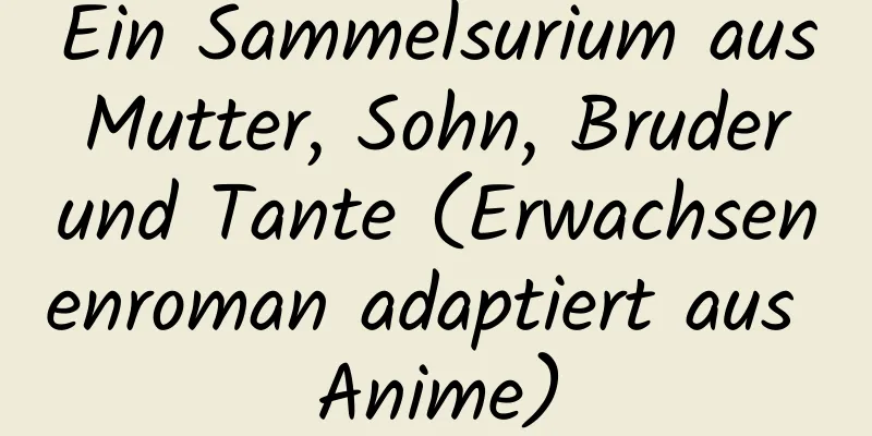 Ein Sammelsurium aus Mutter, Sohn, Bruder und Tante (Erwachsenenroman adaptiert aus Anime)